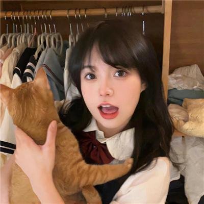 织田信奈的野望